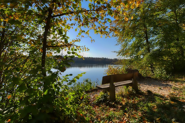 随着欧洲俱 随着欧洲俱