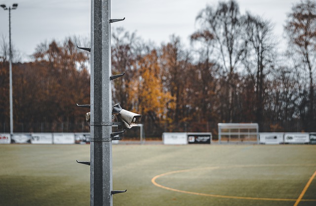 狼队于主场 狼队于主场