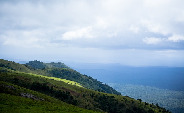 可以发现雷 可以发现雷