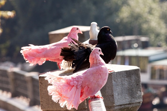 随着医药改 随着医药改