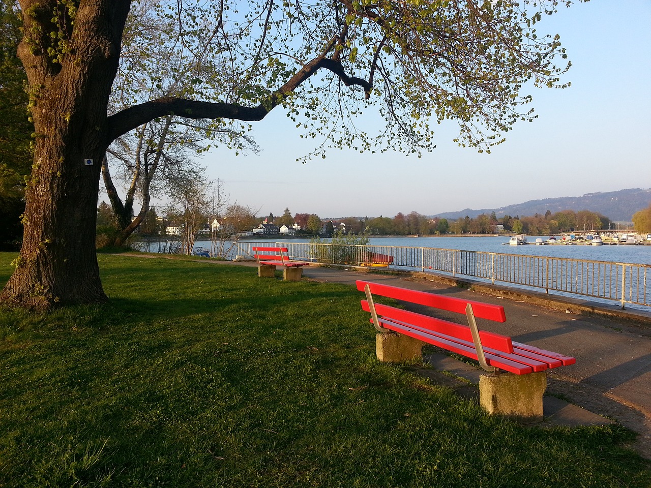 力范围内进 力范围内进