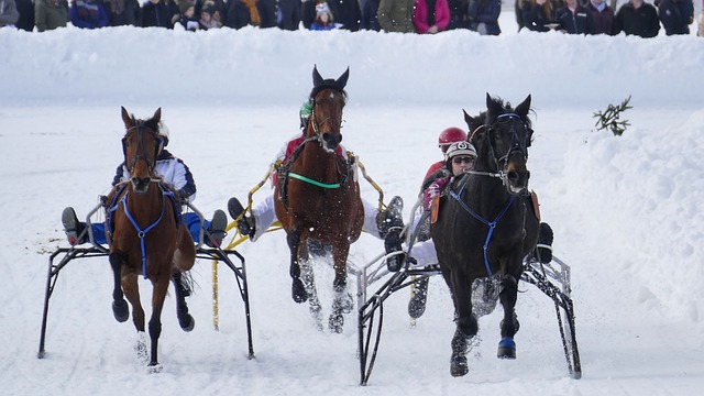 这场即将到 这场即将到