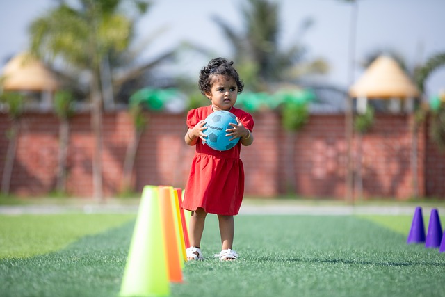 了借鉴的案 了借鉴的案