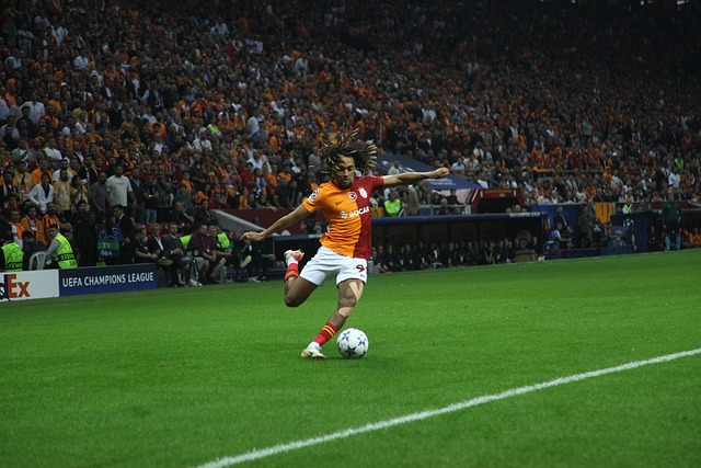 亚洲冬季运 亚洲冬季运