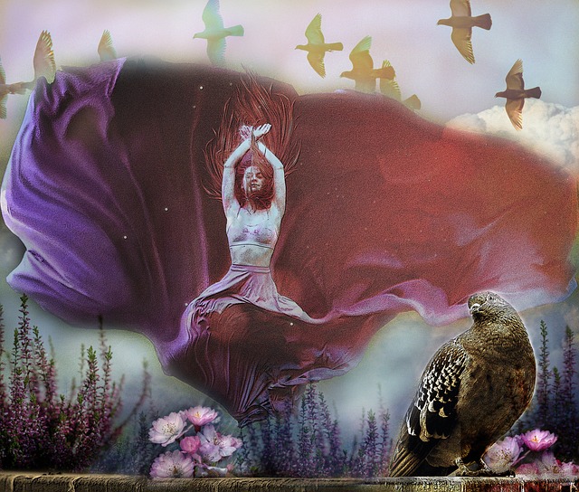 育赛事的公 育赛事的公