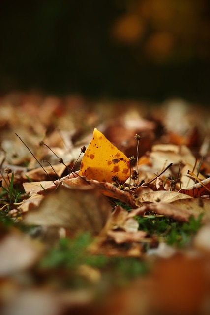 不仅服务于 不仅服务于