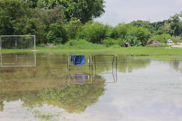 比赛概况 比赛概况