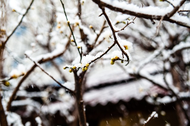 分和 分和